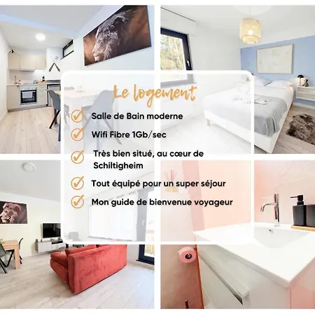 Chic & Cosy - - Parking Included * Schiltigheim