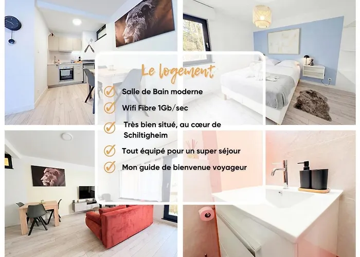 Chic & Cosy - - Parking Included * Schiltigheim